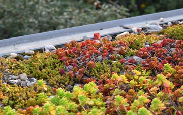 the cost of Easterside green roof installation