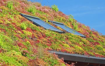 Easterside living roof systems