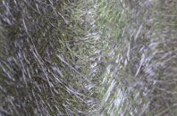 Easterside fibreglass roof work